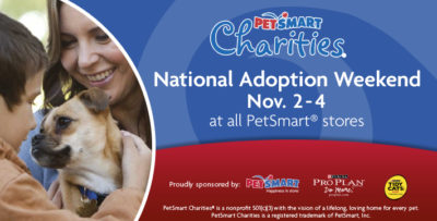 2012 National Adoption Weekend