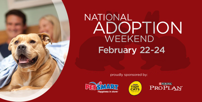 2013 National Adoption Weekend Feb