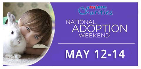 2016 National Adoption Weekend