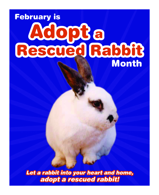 Adopt A Rescued Rabbit Poster