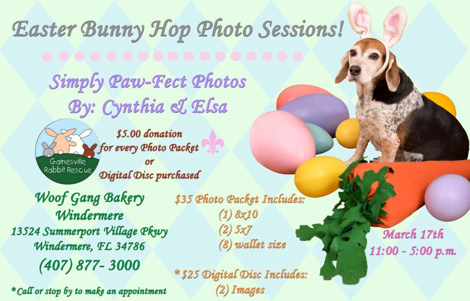Easter Bunny Hop Photo Sessions