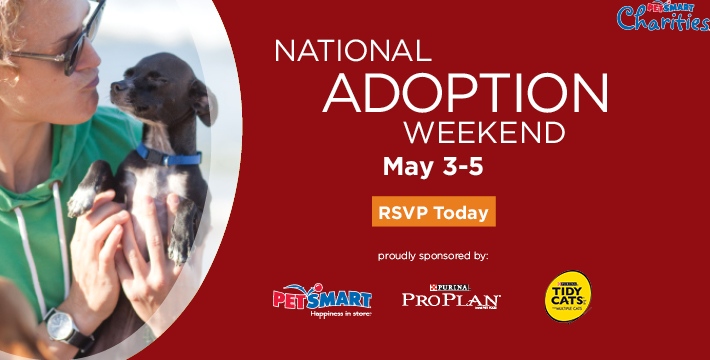 2013 National Adoption Weekend May