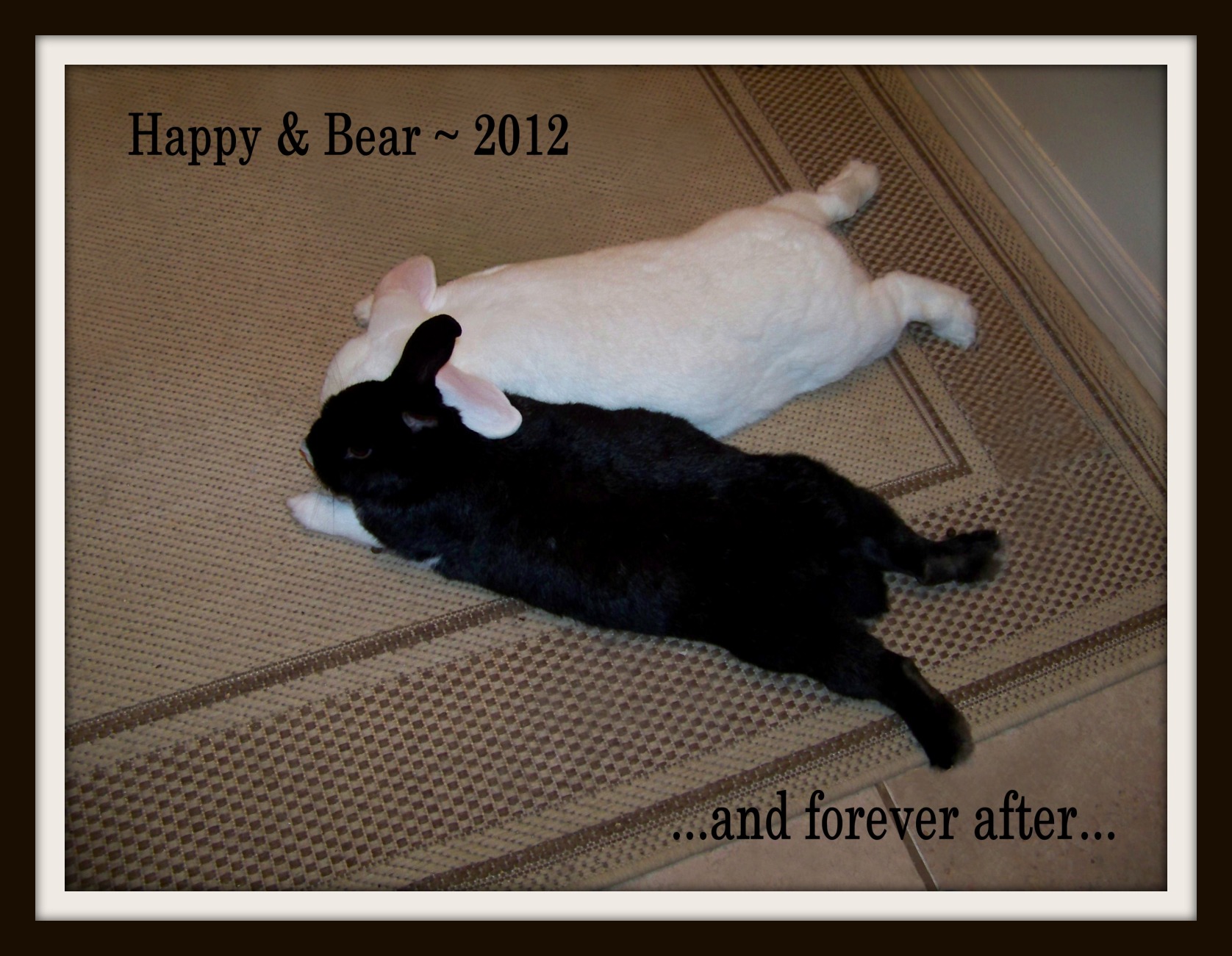 Happy and Baby Bear