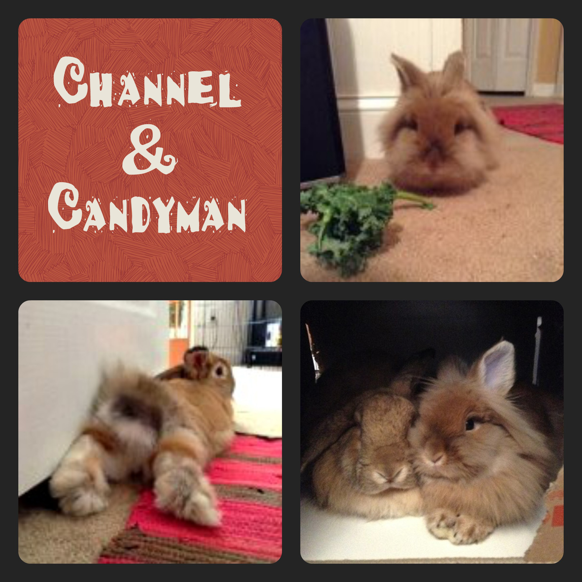 Channel & Candyman