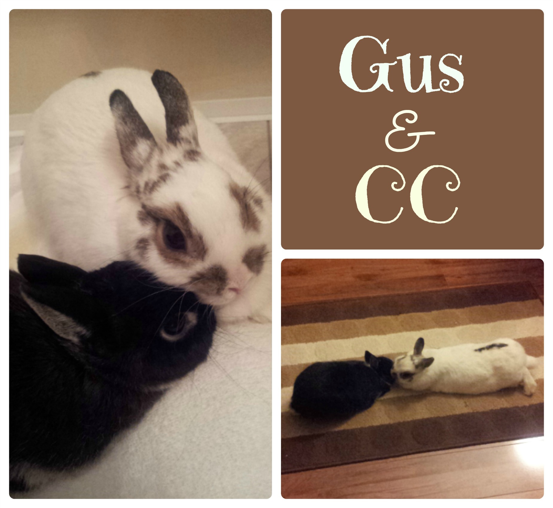 Gus & CC