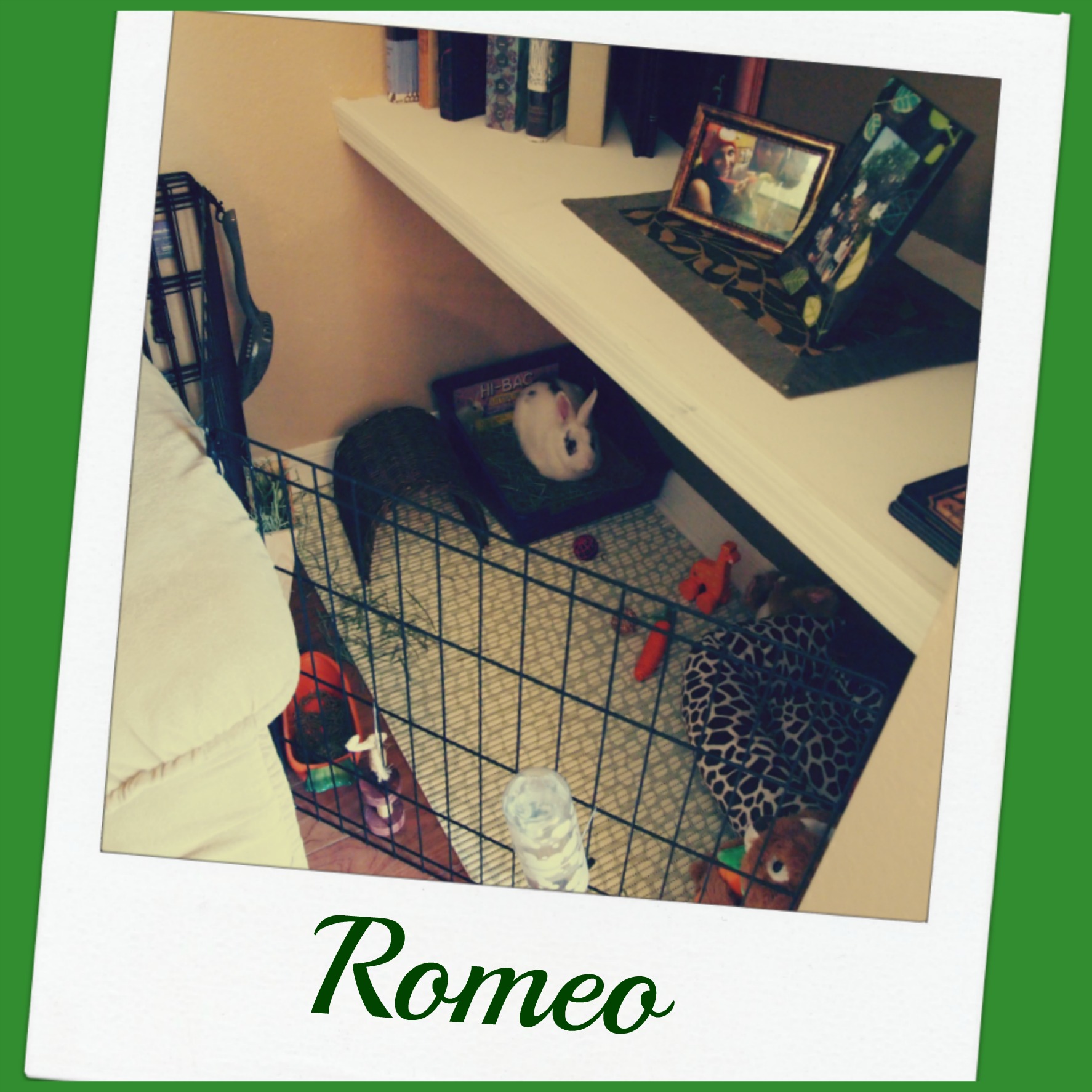 Romeo