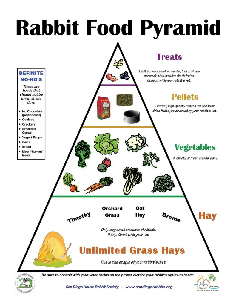 Rabbit Food Pyramid